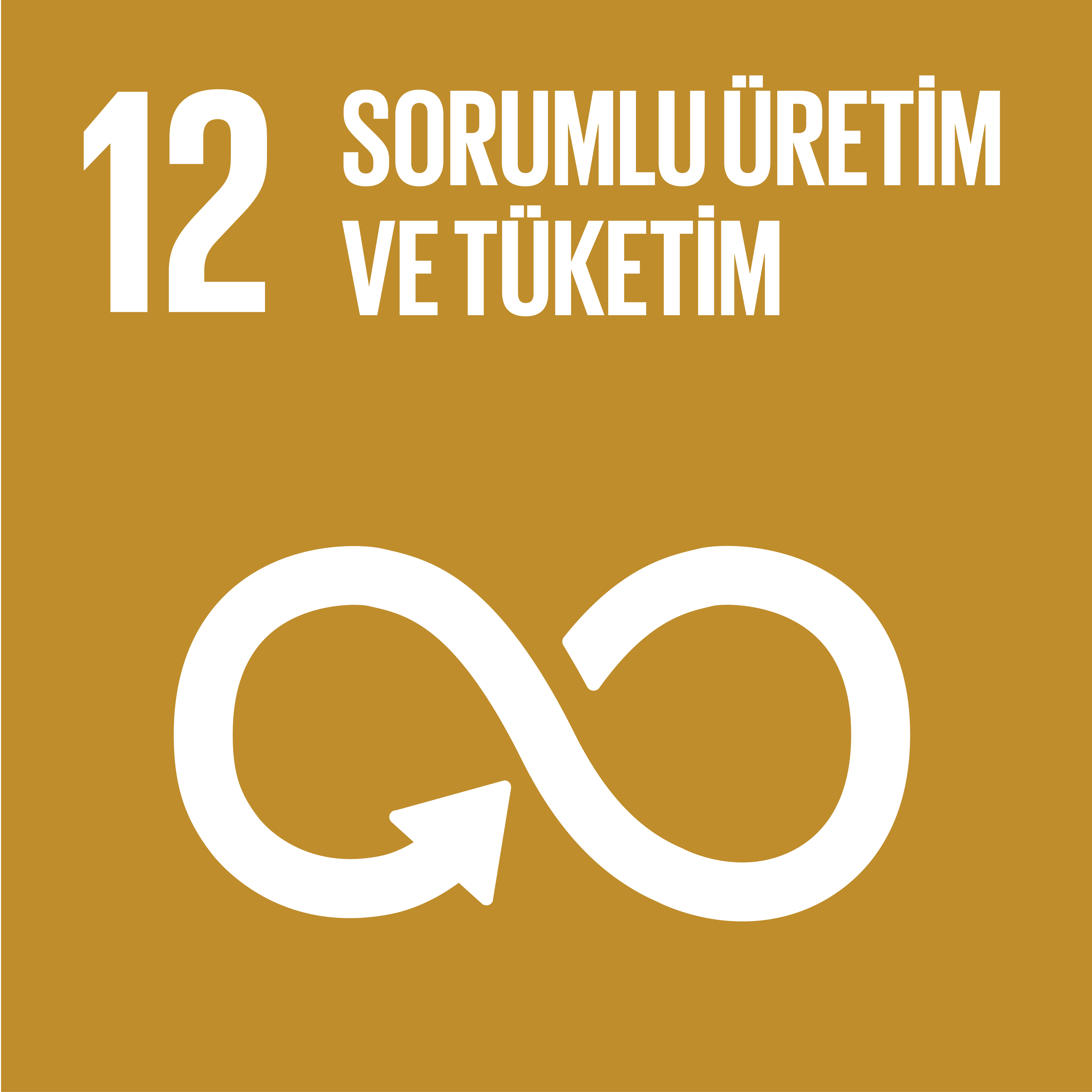 Sorumlu Üretim ve Tüketim 